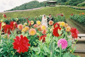 gardenn06